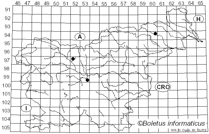 <i>Clitocybe cacabus</i> Fr.
