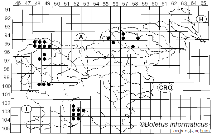 <i>Lepraria lobificans</i> Nyl. (1873)