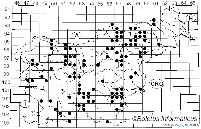 <i>Amanita virosa</i> (Fr.) Bertill.