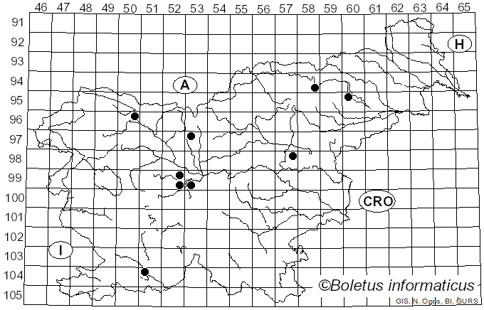<i>Uromyces polygoni-avicularis</i> (Pers.) P. Karst. (1879)