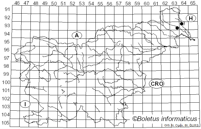 <i>Oligostoma insidiosum</i> (P. Crouan & H. Crouan) Voglmayr, J. Fourn. & Jaklitsch (2022)