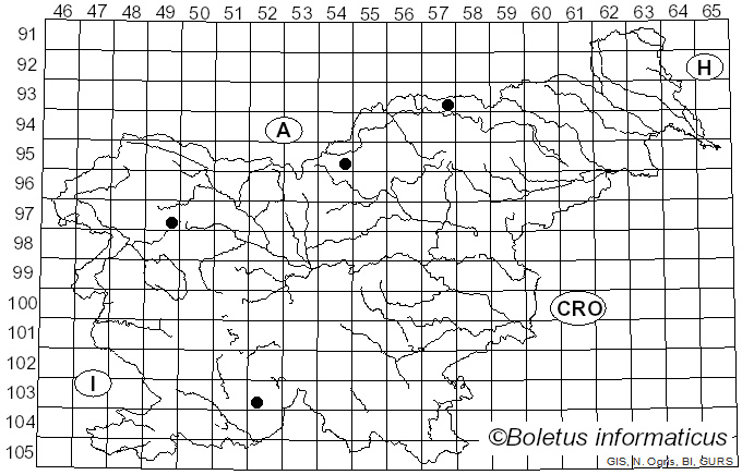<i>Phaeophyscia nigricans</i> (Flörke) Moberg (1977)