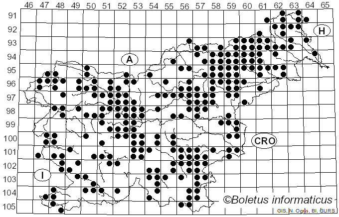 <i>Lepiota</i> (Pers.) Gray (1821)