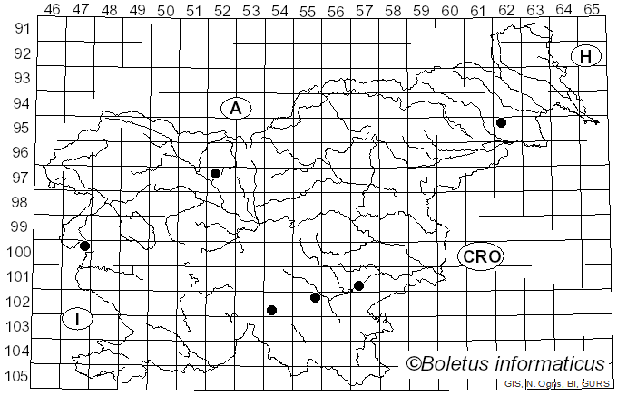 <i>Oudemansiella ephippium</i> (Fr.) M.M. Moser (1955)