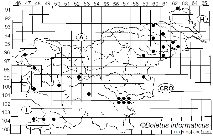 <i>Lentinellus ursinus</i> (Fr.) Kühner (1926)