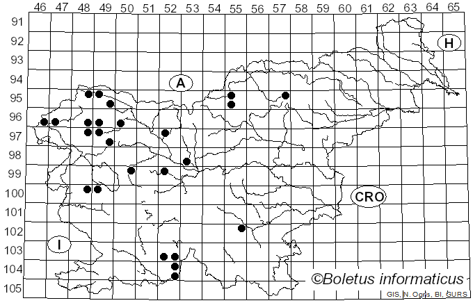 <i>Cladonia macilenta</i> Hoffm. (1796)
