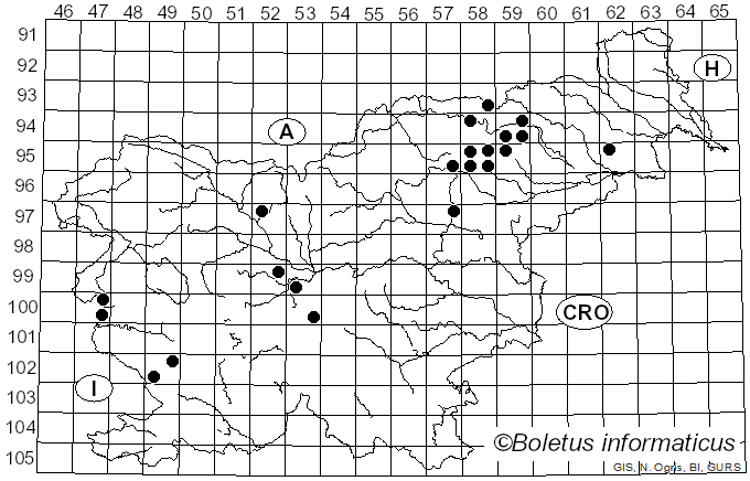 <i>Cortinarius evernius</i> (Fr.) Fr. (1838)