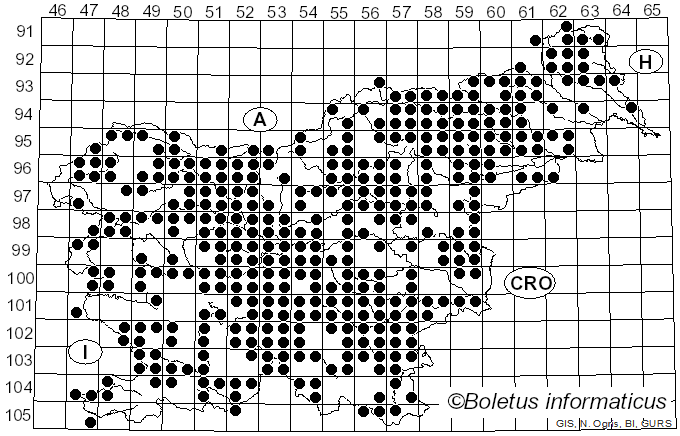<i>Clitocybe</i> (Fr.) Staude (1857)