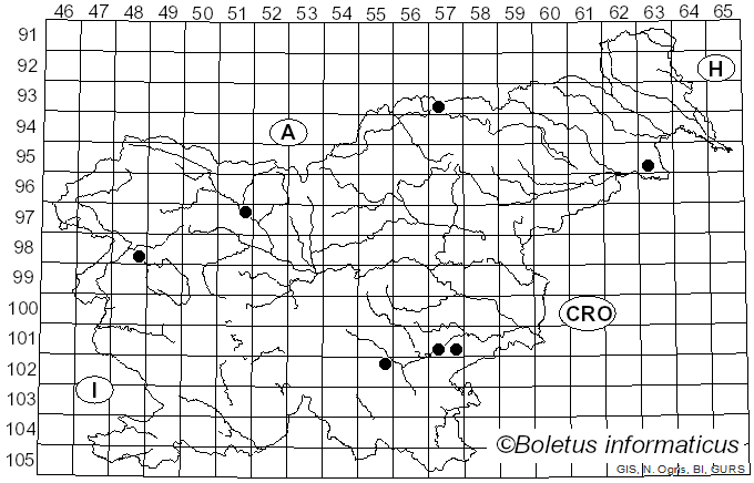 <i>Coniophora</i> DC. (1815)