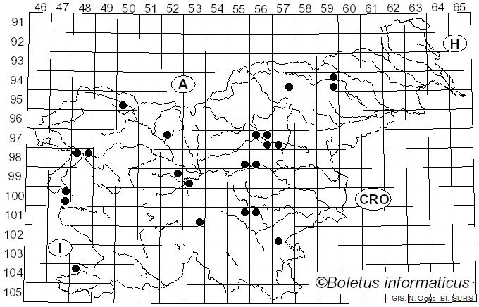 <i>Cortinarius integerrimus</i> Kühner (1989)
