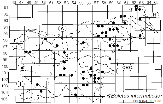 <i>Xylodon radula</i> (Fr.) Ţura, Zmitr., Wasser & Spirin (2011)