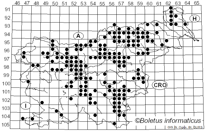 <i>Tylopilus felleus</i> (Bull.) P. Karst. (1881)