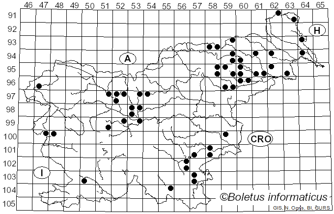 <i>Hortiboletus rubellus</i> (Krombh.) Simonini, Vizzini & Gelardi (2015)