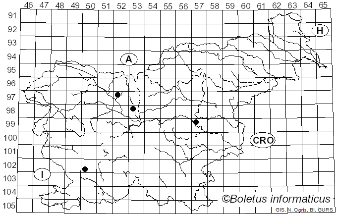 <i>Stigmella regiella</i> Herrich-Schäffer