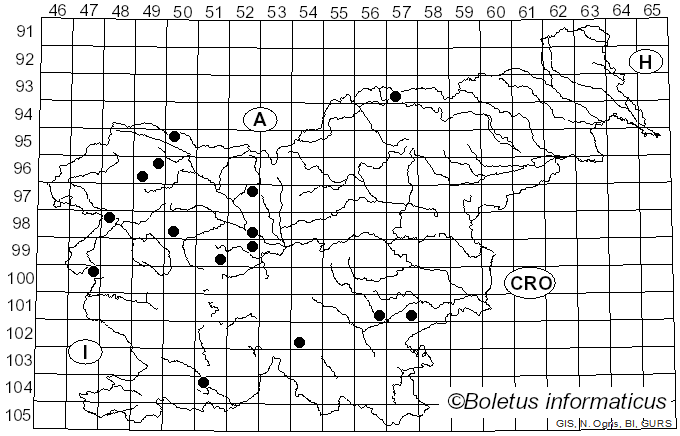 <i>Suillus bresadolae</i> (Quél.) Gerhold (1985)