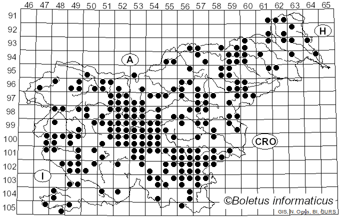 <i>Armillaria mellea</i> (Vahl) P. Kumm. (1871)