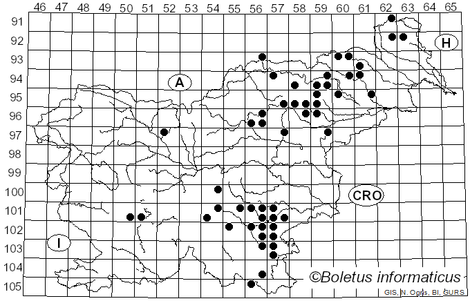 <i>Russula langei</i> Bon (1970)
