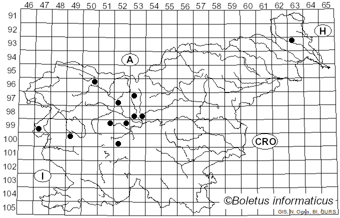 <i>Puccinia arenariae</i> (Schumach.) J. Schröt. (1880)