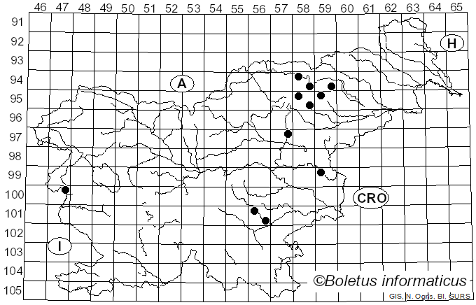 <i>Thaxterogaster scaurus</i> (Fr.) Niskanen & Liimat. (2022)