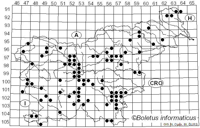 <i>Tricholoma atrosquamosum</i> (Chevall.) Sacc. (1887)