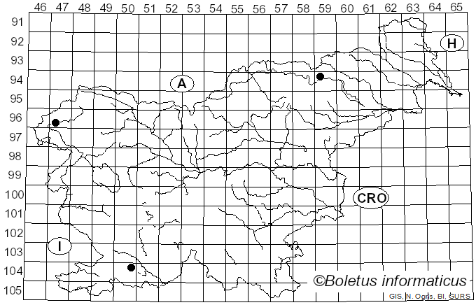 <i>Coprinellus bisporus</i> (J.E. Lange) Vilgalys, Hopple & Jacq. Johnson (2001)