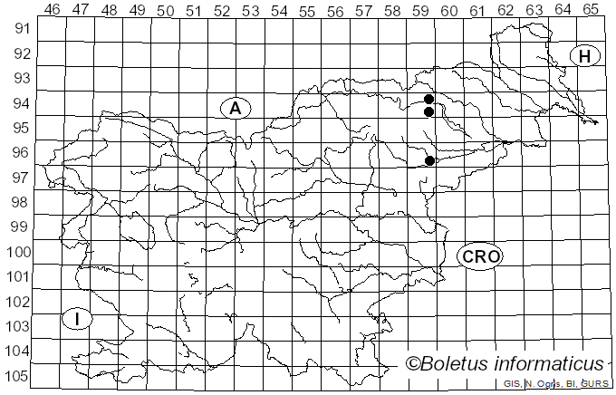 <i>Marasmius epodius</i> Bres. (1887)
