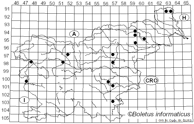 <i>Psathyrella pertinax</i> (Fr.) Örstadius (2007)