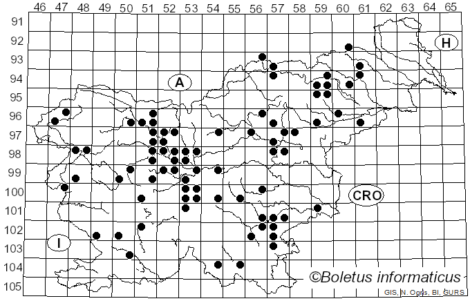 <i>Astraeus hygrometricus</i> (Pers.) Morgan (1889)