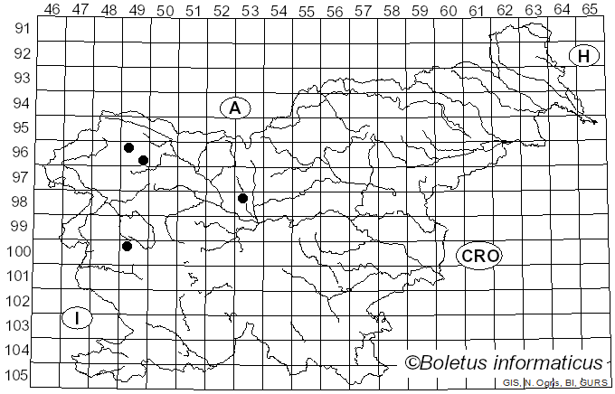 <i>Lamproderma</i> Rostaf. (1873)