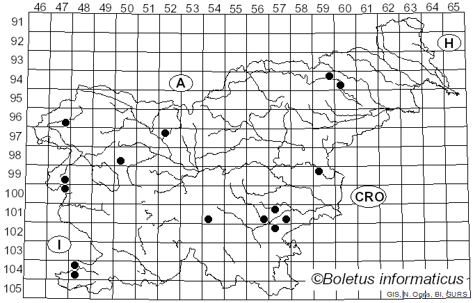 <i>Calonarius saporatus</i> (Britzelm.) Niskanen & Liimat. (2022)