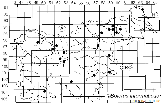 <i>Inocybe whitei</i> (Berk. & Broome) Sacc. (1887)