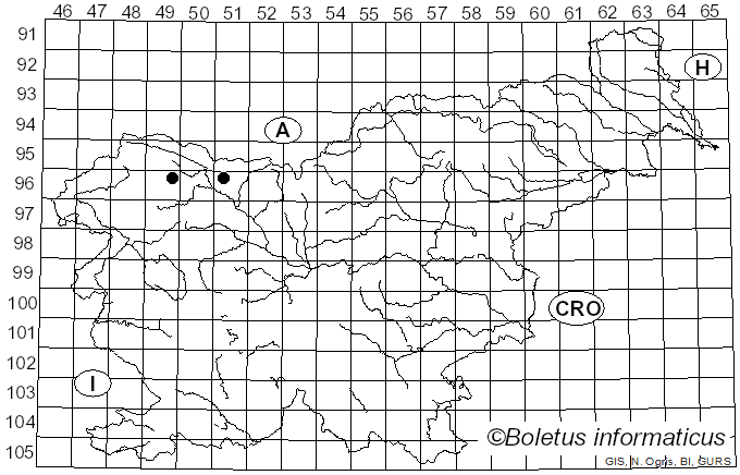 <i>Ascobolus equinus</i> (O.F. Müll.) P. Karst. (1870)