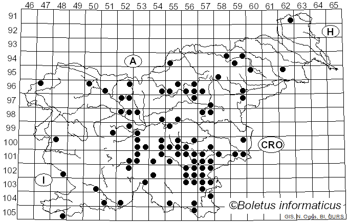 <i>Russula subfoetens</i> Wm.G. Sm.