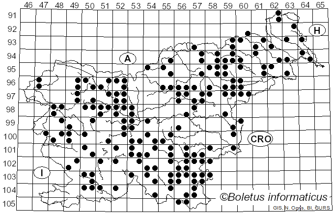 <i>Ganoderma applanatum</i> (Pers.) Pat. (1887)