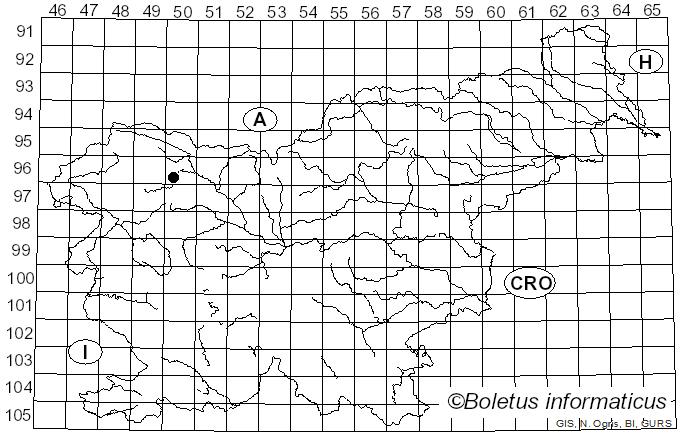 <i>Lophodermium melaleucum</i> (Fr.) De Not. (1847)