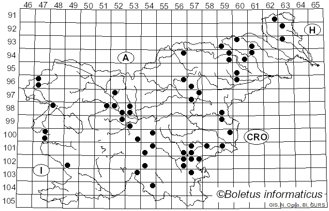 <i>Russula pectinatoides</i> Peck (1907)