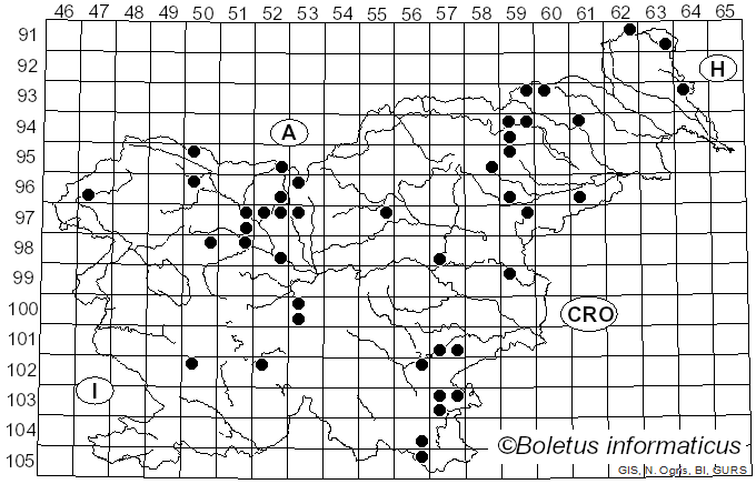 <i>Collybiopsis</i> (J. Schröt.) Earle (1909)