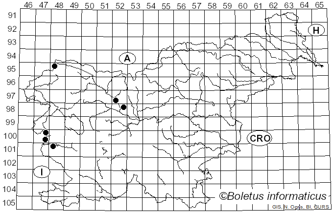 <i>Volvariella taylorii</i> (Berk. & Broome) Singer (1951)