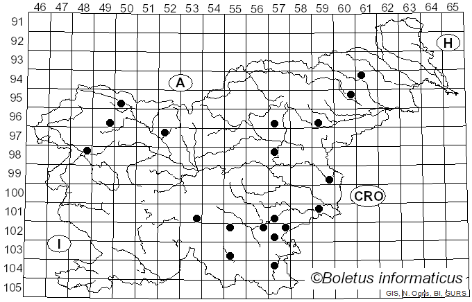 <i>Pluteus phlebophorus</i> Cooke