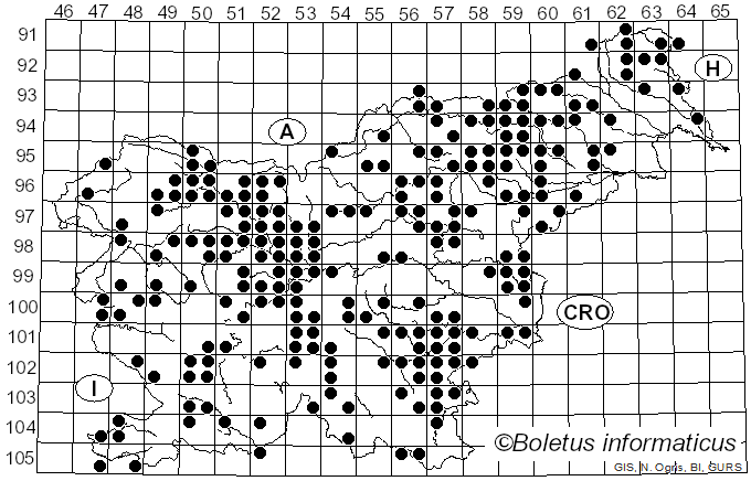 <i>Laccaria laccata</i> (Scop.) Fr. (1884)