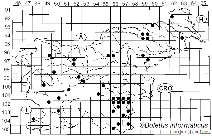 <i>Postia tephroleuca</i> (Fr.) Jülich (1982)