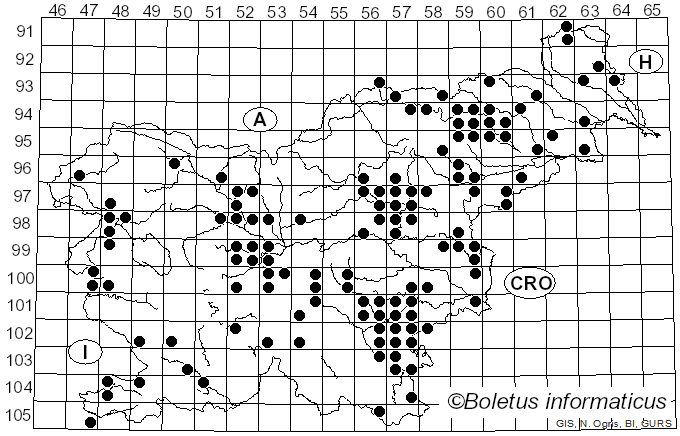 <i>Meripilus giganteus</i> (Pers.) P. Karst. (1882)