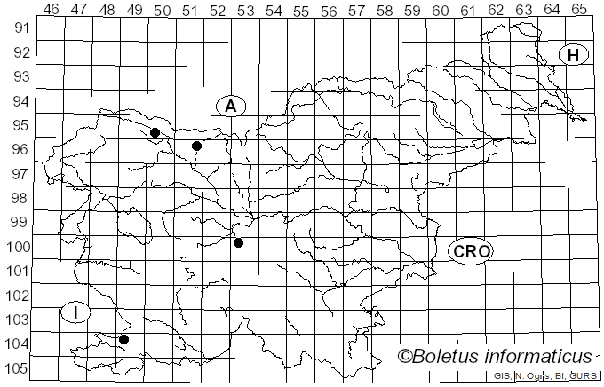 <i>Hyalorbilia inflatula</i> (P. Karst.) Baral & G. Marson (2001)