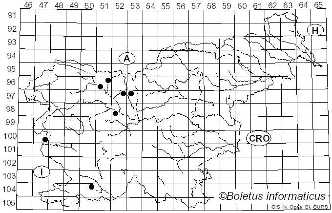 <i>Stictis</i> Pers. (1800)