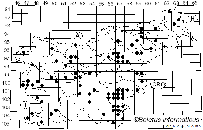 <i>Abortiporus biennis</i> (Bull.) Singer (1944)