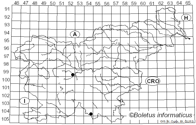 <i>Botryobasidium capitatum</i> (Link) Rossman & W.C. Allen (2016)