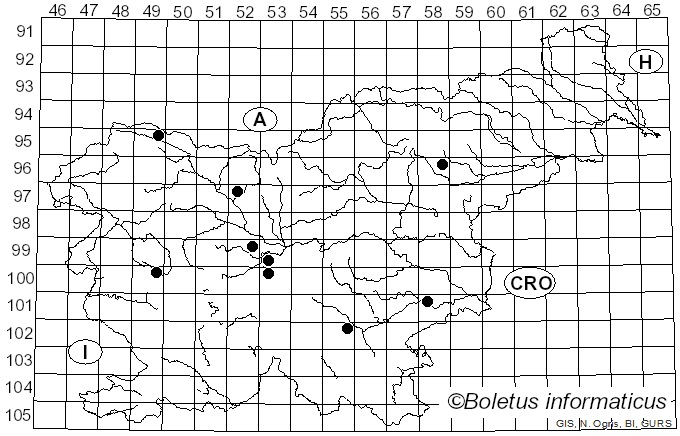 <i>Oxyporus ravidus</i> (Fr.) Bondartsev & Singer (1941)
