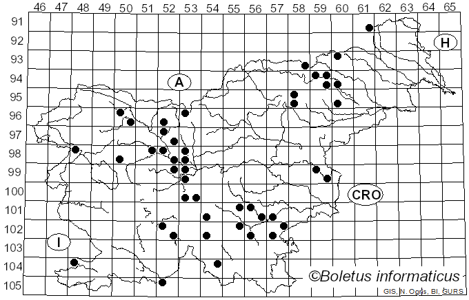 <i>Calocybe ionides</i> (Bull.) Donk (1962)