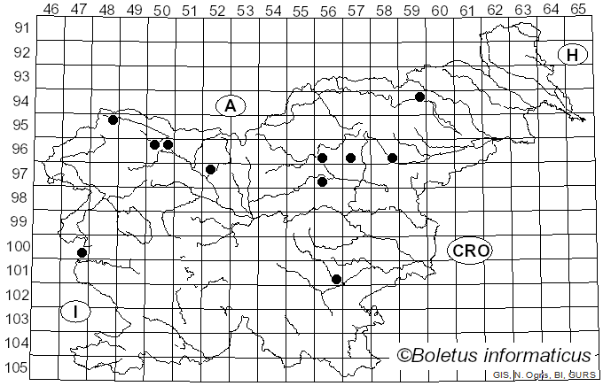 <i>Sarcodontia</i> Schulzer (1866)