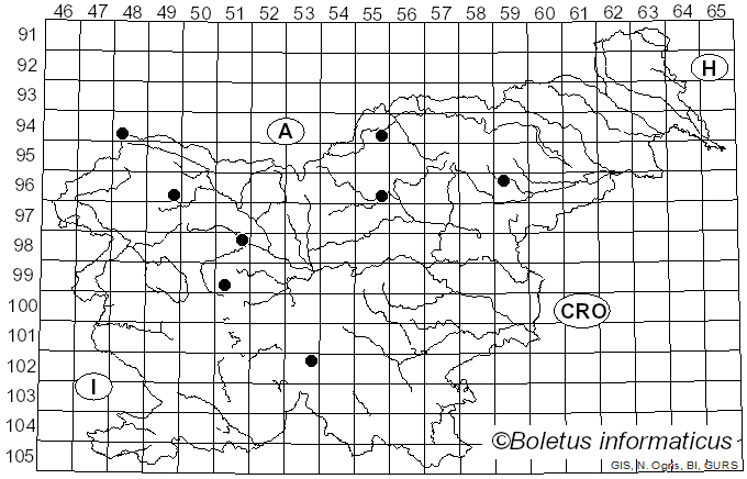 <i>Lirula</i> Darker (1967)
